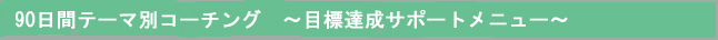 90日間テーマ別コーチング　～目標達成サポートメニュー～