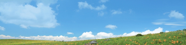 ヒプノセラピー