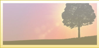 ヒプノセラピー3